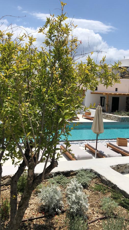 Отель Mykonos Drops Платис Ялос Экстерьер фото